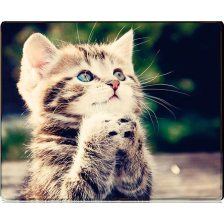 Килимок Voltronic CAT3 (YT-CAT3)