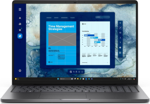 Ноутбук  Dell Pro 16 (BTO106PC16250UA_W11P)