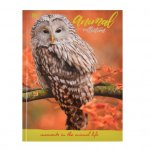 Блокнот   Yes 140*185/96 л "Wild force" лінія (151483)