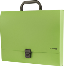 Папка - портфель  Economix пластиковий A4 на застібці 1 відділення, салатовий (E31607-13)