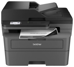 Багатофункціональний пристрій  Brother MFCL2802DNYJ1