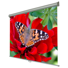 Проекційний екран Walfix SNM-3