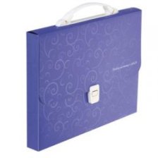 Папка - портфель  Buromax A4/35мм, BAROCCO, violet (BM.3719-07)