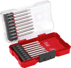 Біти  Einhell, набір 16шт, PH, PZ, Torx, 80мм, кейс 118973