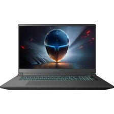 Ноутбук  Thunderobot 911 X17 (911X17-i7136H56C1Q165MB)