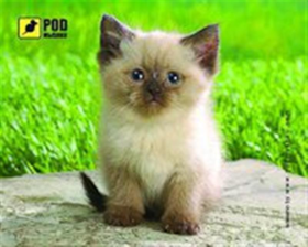 Килимок для миші Podmyshku сіамський котик