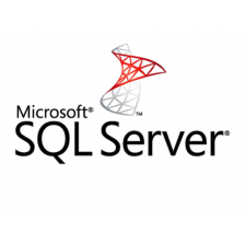 ПЗ для сервера  Microsoft SQL Server 2022 Enterprise - 2 Core License Pack - 3 year Subscri DG7GMGF0M7XV_0004_P3Y_T