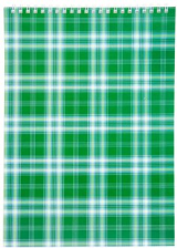 Блокнот Buromax spiral top, А4, 48sheets, square, green (BM.2460-04)