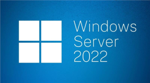 Програмне забезпечення  Microsoft Windows Server Standard 2022 64Bit English 1pk OEM DVD 24 Core P73-