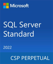 ПО для сервера  Microsoft SQL Server 2022 Standard Edition 1 Server License Commercial, Perpetual DG7GMGF0M80J_0002