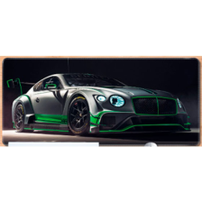 Килимок Voltronic Bentley Continental GT3 (C09383)