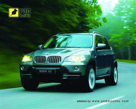Килимок Podmyshku БМВ Х5