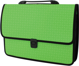 Папка - портфель  Economix на застібці, фактура Вишиванка, салатовий (E31641-13)