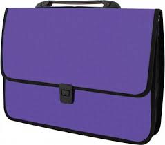 Папка - портфель  Economix на застібці, фактура Вишиванка, фіолетовий (E31641-12)