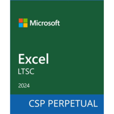 Офісний додаток  Microsoft Excel LTSC 2024 Commercial Software, Perpetual (DG7GMGF0PN5H_0002)