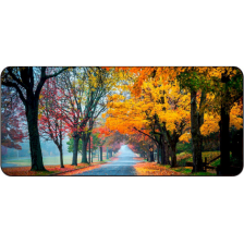 Килимок  Voltronic Autumn road (R362)