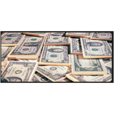 Килимок  Voltronic Dollars (UD04)