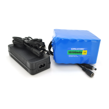 Акумулятор QiSuo 24V 18A з елементами Li-ion 18650 + зарядний пристрій  25.2V3A, D