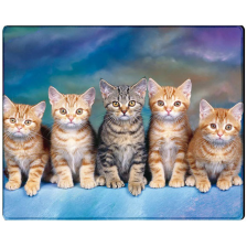 Килимок Voltronic Five Cats (YT-CAT30)