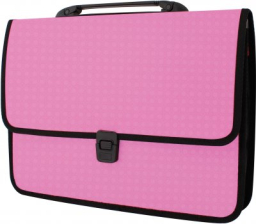 Папка - портфель  Economix на застібці, фактура Вишиванка, рожевий (E31641-09)