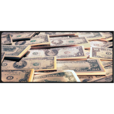 Килимок Voltronic Dollars (UD07)