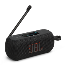Колонка JBL Tuner 3 Black (JBLTUNER3BLK)
